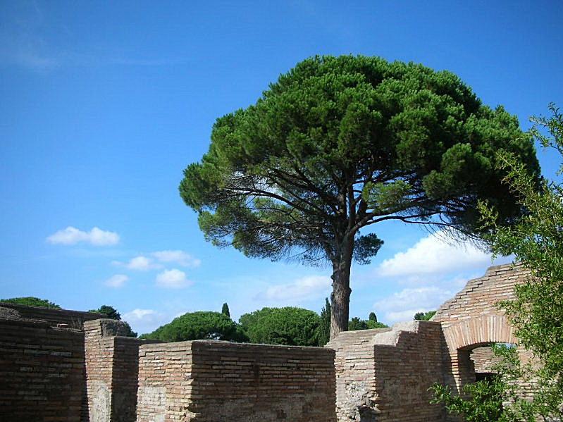 Ostia Antica